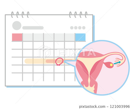 日曆標有不孕不育治療、不孕不育、計時方法 121003996