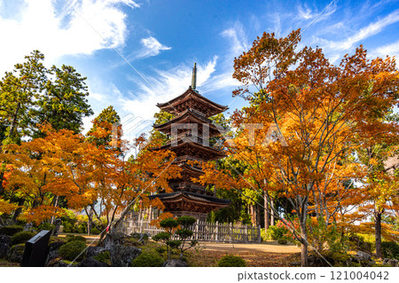 [Niigata Prefecture_Sado City_Myousenji Temple] The only remaining "Five-story Pagoda" in Niigata Prefecture Autumn Edition November 121004042