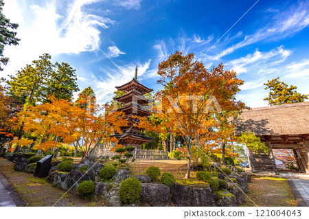 [Niigata Prefecture_Sado City_Myousenji Temple] The only remaining "Five-story Pagoda" in Niigata Prefecture Autumn Edition November 121004043