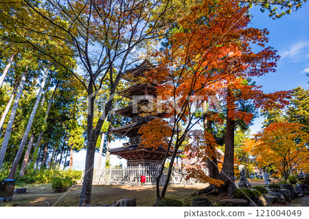 [Niigata Prefecture_Sado City_Myousenji Temple] The only remaining "Five-story Pagoda" in Niigata Prefecture Autumn Edition November 121004049