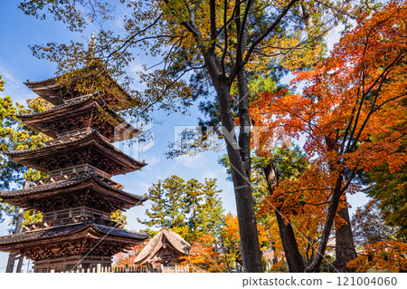 [Niigata Prefecture_Sado City_Myousenji Temple] The only remaining "Five-story Pagoda" in Niigata Prefecture Autumn Edition November 121004060