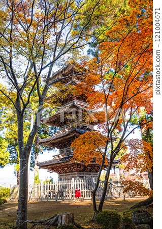 [新潟縣_佐渡市_妙泉寺] 新潟縣現存唯一的「五層寶塔」 秋季版 11月 121004071