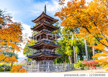 [Niigata Prefecture_Sado City_Myousenji Temple] The only remaining "Five-story Pagoda" in Niigata Prefecture Autumn Edition November 121004080