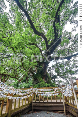 算命架上綁著許多福氣和大姑蘇 算命架上綁著許多福氣和大姑蘇 121004111