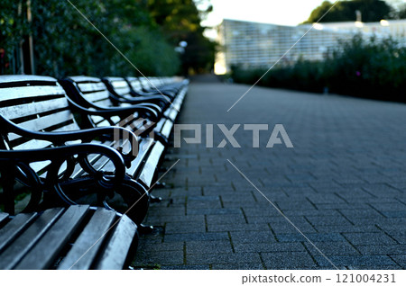 東京神代植物園秋天的長椅風景 東京神代植物園秋天的長椅風景 121004231