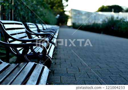 Autumn bench scene at Jindai Botanical Gardens, Tokyo 121004233