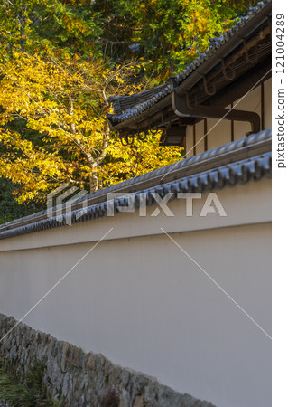 秋天的京都，天壽庵的白牆被秋葉覆蓋 121004289