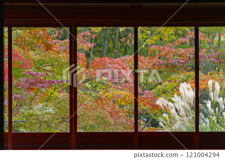 Beautiful autumn leaves seen from the kitchen of Nanzenji Temple Tenjuan 121004294