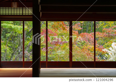 Beautiful autumn leaves seen from the kitchen of Nanzenji Temple Tenjuan 121004296