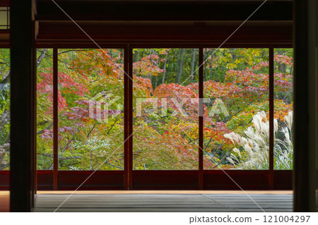 Beautiful autumn leaves seen from the kitchen of Nanzenji Temple Tenjuan 121004297