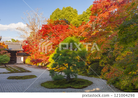 Autumn in Kyoto: Nanzenji Tenjuan, the eastern garden enveloped in autumn leaves Autumn in Kyoto: Nanzenji Tenjuan, the eastern garden enveloped in autumn leaves 121004298