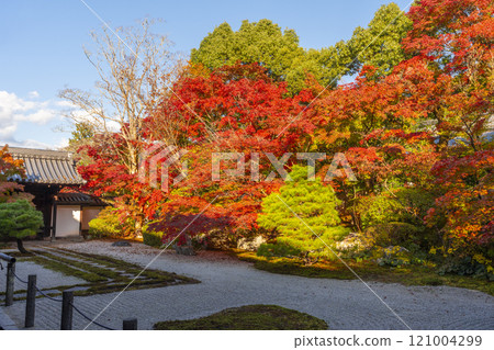 Autumn in Kyoto: Nanzenji Tenjuan, the eastern garden enveloped in autumn leaves 121004299