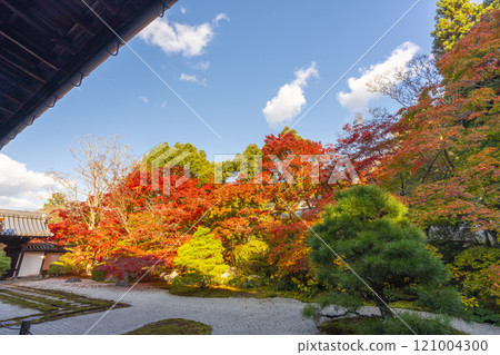 Autumn in Kyoto: Nanzenji Tenjuan, the eastern garden enveloped in autumn leaves 121004300