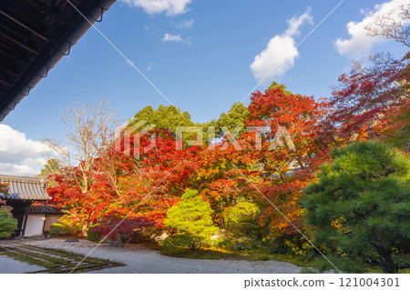 秋天的京都,南禪寺天圓,秋葉覆蓋的東花園 秋天的京都,南禪寺天圓,秋葉覆蓋的東花園 121004301