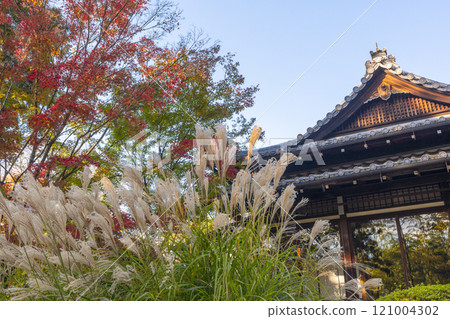 從南庭園眺望秋天的京都天壽庵書院 從南庭園眺望秋天的京都天壽庵書院 121004302