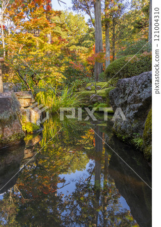 Autumn in Kyoto, Tenjuan, Maple leaves reflected in the pond in the south garden of Shoin 121004310