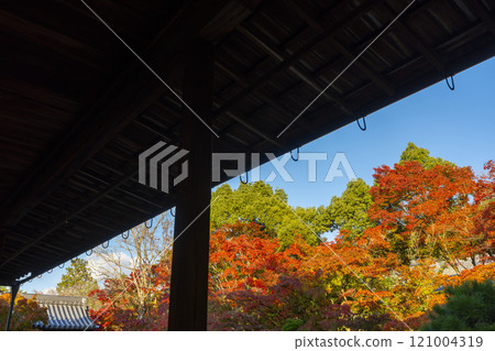 Autumn in Kyoto: Nanzenji Tenjuan, the eastern garden enveloped in autumn leaves 121004319