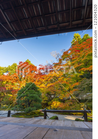 Autumn in Kyoto: Nanzenji Tenjuan, the eastern garden enveloped in autumn leaves 121004320