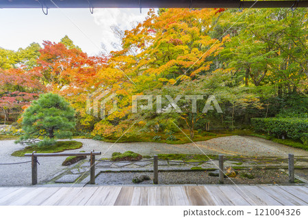 Autumn in Kyoto: Nanzenji Tenjuan, the eastern garden enveloped in autumn leaves 121004326