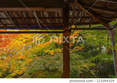 Autumn in Kyoto: Nanzenji Tenjuan, the eastern garden enveloped in autumn leaves 121004329