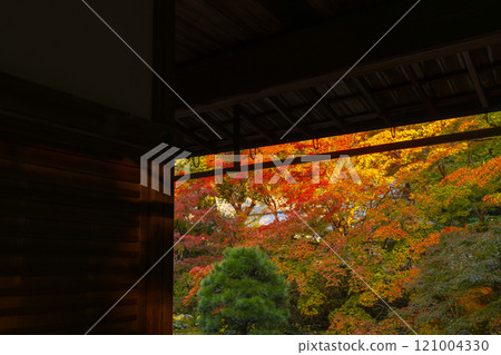 Autumn in Kyoto: Nanzenji Tenjuan, the eastern garden enveloped in autumn leaves 121004330