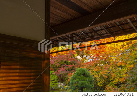 Autumn in Kyoto: Nanzenji Tenjuan, the eastern garden enveloped in autumn leaves Autumn in Kyoto: Nanzenji Tenjuan, the eastern garden enveloped in autumn leaves 121004331
