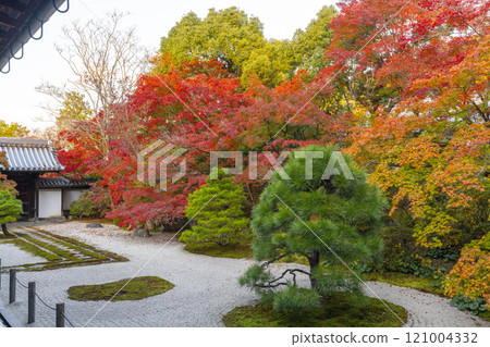 Autumn in Kyoto: Nanzenji Tenjuan, the eastern garden enveloped in autumn leaves 121004332