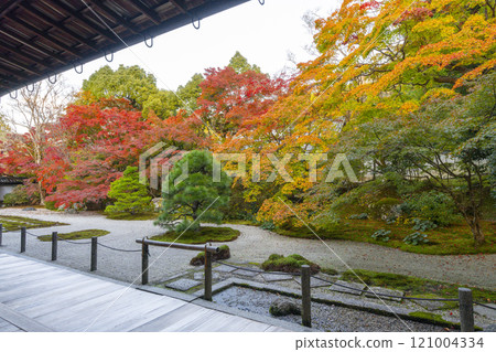 Autumn in Kyoto: Nanzenji Tenjuan, the eastern garden enveloped in autumn leaves 121004334