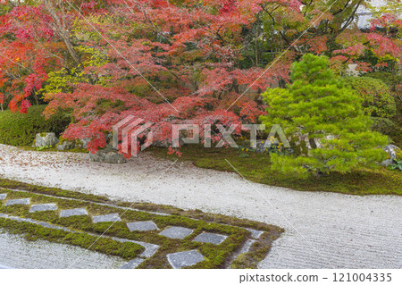 Autumn in Kyoto: Nanzenji Tenjuan, the eastern garden enveloped in autumn leaves 121004335