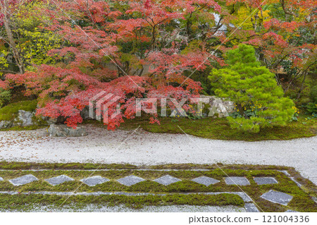 Autumn in Kyoto: Nanzenji Tenjuan, the eastern garden enveloped in autumn leaves Autumn in Kyoto: Nanzenji Tenjuan, the eastern garden enveloped in autumn leaves 121004336