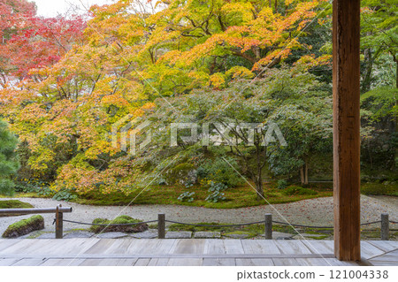 秋天的京都，南禪寺天圓，秋葉覆蓋的東花園 121004338