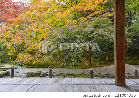 秋天的京都，南禪寺天圓，秋葉覆蓋的東花園 121004339