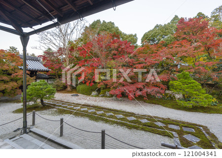Autumn in Kyoto: Nanzenji Tenjuan, the eastern garden enveloped in autumn leaves 121004341