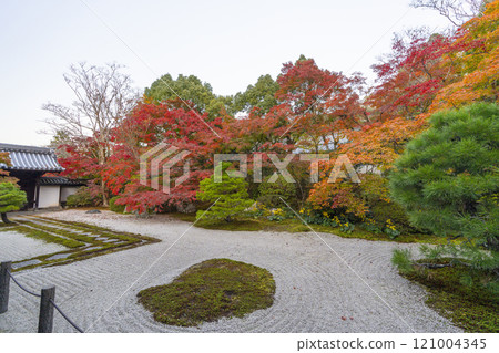 秋天的京都，南禪寺天圓，秋葉覆蓋的東花園 121004345