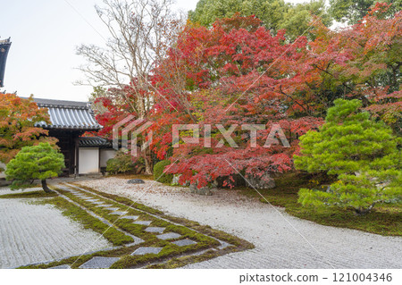 Autumn in Kyoto: Nanzenji Tenjuan, the eastern garden enveloped in autumn leaves Autumn in Kyoto: Nanzenji Tenjuan, the eastern garden enveloped in autumn leaves 121004346