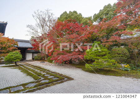 Autumn in Kyoto: Nanzenji Tenjuan, the eastern garden enveloped in autumn leaves 121004347
