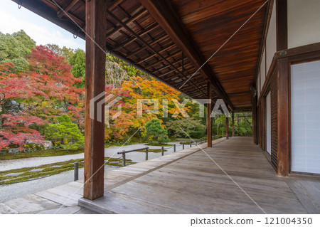 Autumn in Kyoto: Nanzenji Tenjuan, the eastern garden enveloped in autumn leaves 121004350