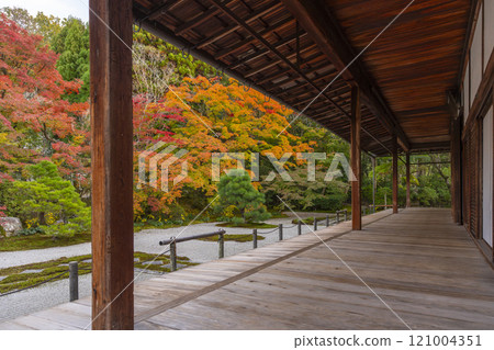秋天的京都,南禪寺天圓,秋葉覆蓋的東花園 秋天的京都,南禪寺天圓,秋葉覆蓋的東花園 121004351