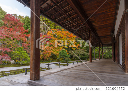 秋天的京都,南禪寺天圓,秋葉覆蓋的東花園 秋天的京都,南禪寺天圓,秋葉覆蓋的東花園 121004352