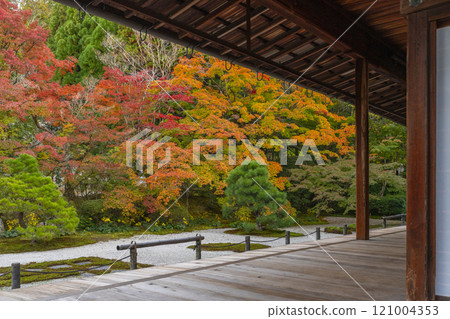 Autumn in Kyoto: Nanzenji Tenjuan, the eastern garden enveloped in autumn leaves 121004353