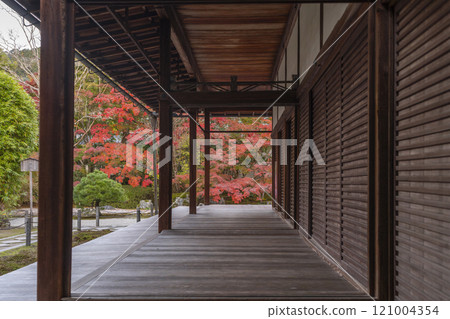 Autumn in Kyoto: Nanzenji Tenjuan, the eastern garden enveloped in autumn leaves 121004354