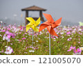 Windmill in Cosmos Field Windmill in Cosmos Field 121005070