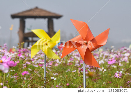 Windmill in Cosmos Field Windmill in Cosmos Field 121005071