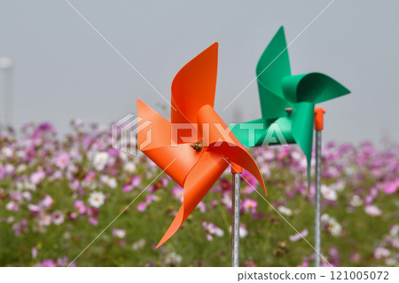 Windmill in Cosmos Field Windmill in Cosmos Field 121005072