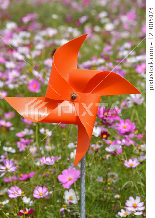 Windmill in Cosmos Field Windmill in Cosmos Field 121005073