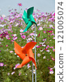 Windmill in Cosmos Field Windmill in Cosmos Field 121005074