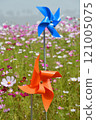 Windmill in Cosmos Field Windmill in Cosmos Field 121005075