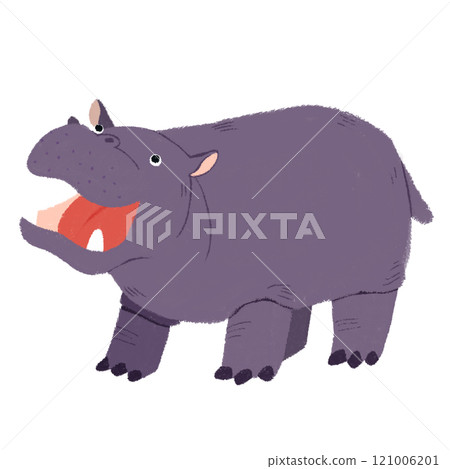 Hippopotamus Hippopotamus 121006201