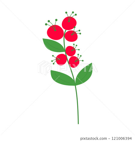 Twig with leaves and red berries. Christmas decoration isolated on white background. 121006394