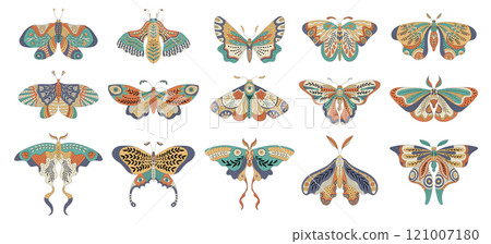 Decorative butterfly. Authentic boho design for butterfly wings recent vector fairytale collection Decorative butterfly. Authentic boho design for butterfly wings recent vector fairytale collection 121007180